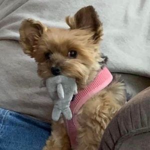 Meet your Posher, Beth